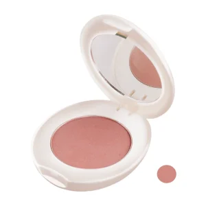 رژگونه چارمینگ شون شماره B01